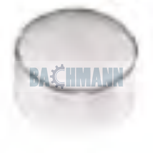 Caliper Steel Cap Ø 44/17 mm