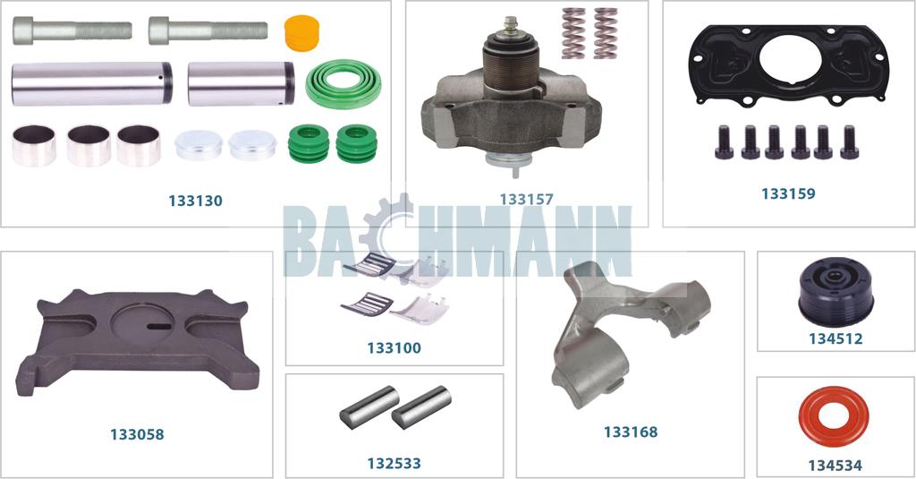 Caliper Complete Repair Kit (Left)