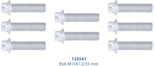 [122285] Caliper Cover Bolt Kit